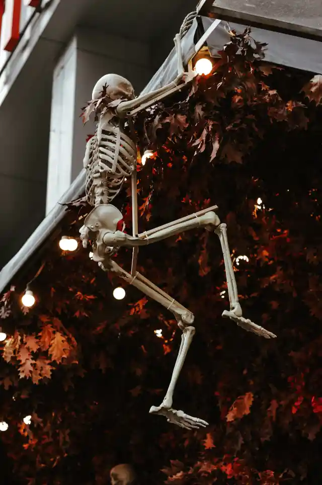 95. Skeleton Dude