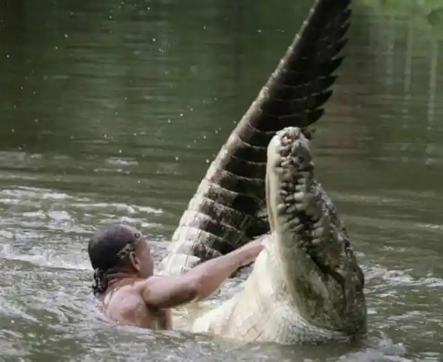 Farmer Rescues Crocodile: 20 Years Later, This Happened