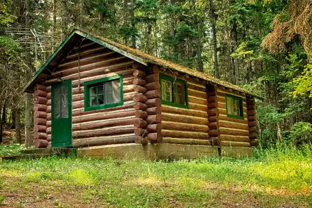 The Cabin in the Woods