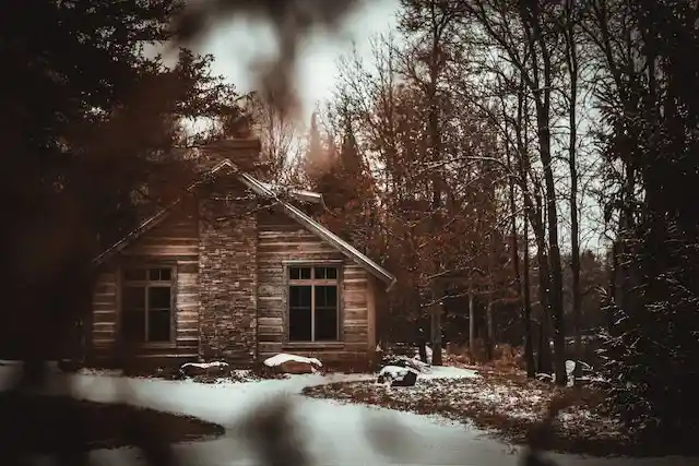  18. The House in the Woods