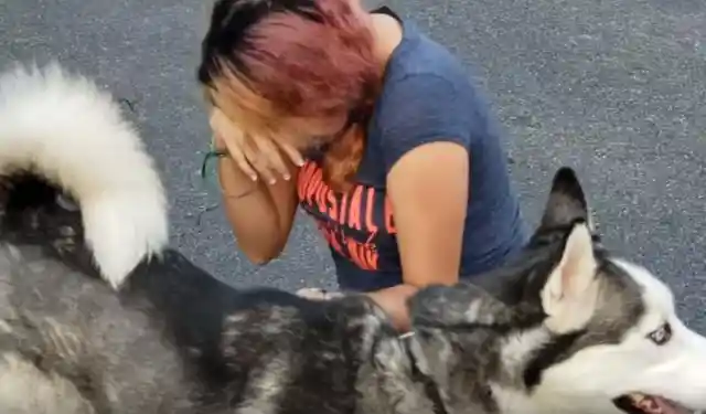Woman’s Dog Goes Missing, Digs In Garden And Realizes What Her Husband Has Done