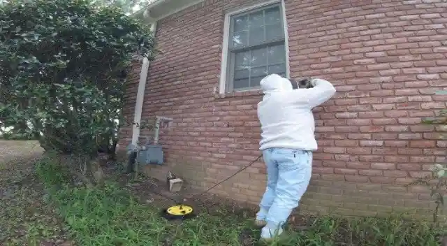 Homeowners Heard Strange Noises Coming From Their House's Walls: Story From Germantown, Tennessee