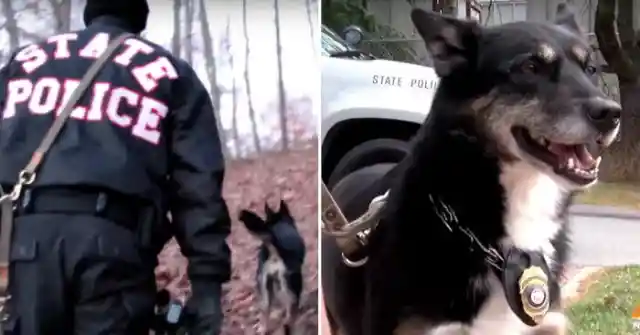 Six Years After A Cop Rescued This Un-Adoptable Dog, They Made A Disturbing Discovery In The Woods