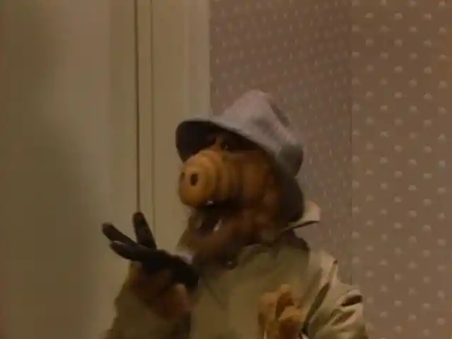ALF Drank Beer In The First Season