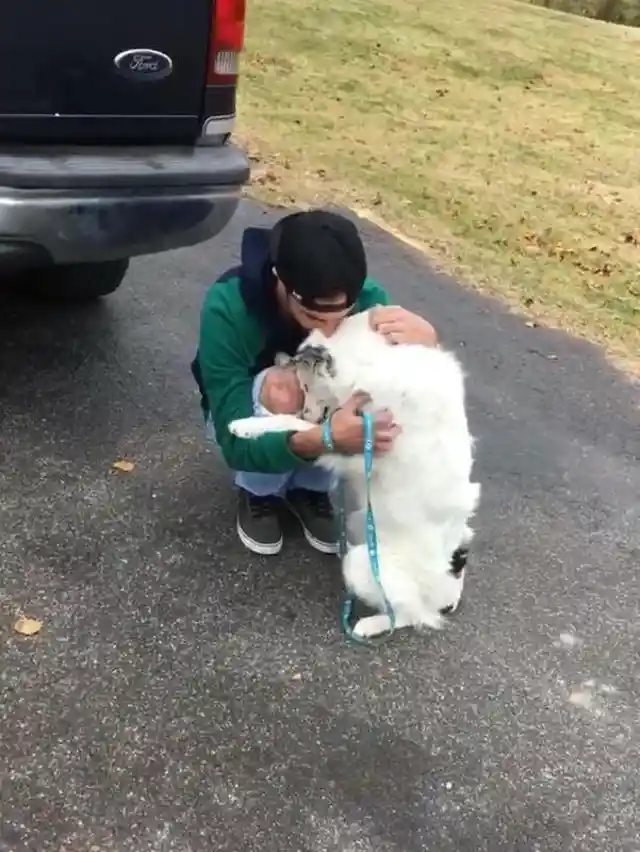Dog Doesn’t Let People Touch Him, Then This Happens