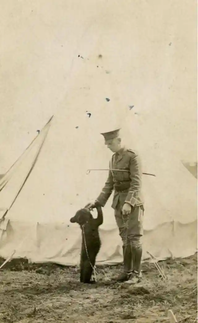 21. British solider playing fetch with his dog.