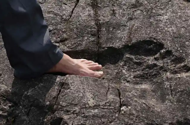 Texas Giant Footprint