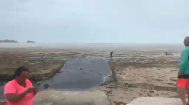 Irma Makes The Ocean Disappear From Florida And Bahamas Beaches And It’s Terrifying