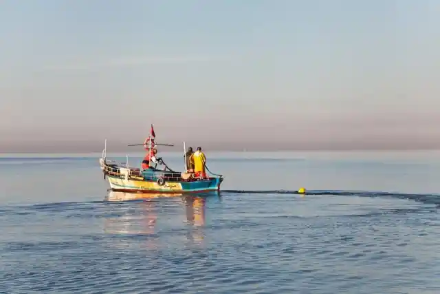 Little Boy Is Traumatized After Encountering This Sea Creature By The Docks