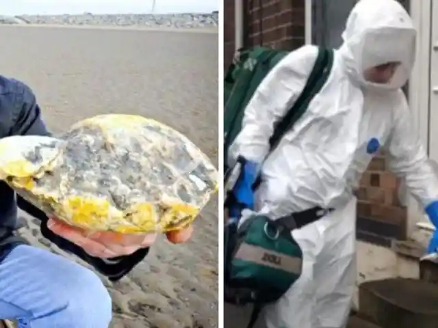Authorities Quarantine Couple's House After They Found A Strange Object On A Beach