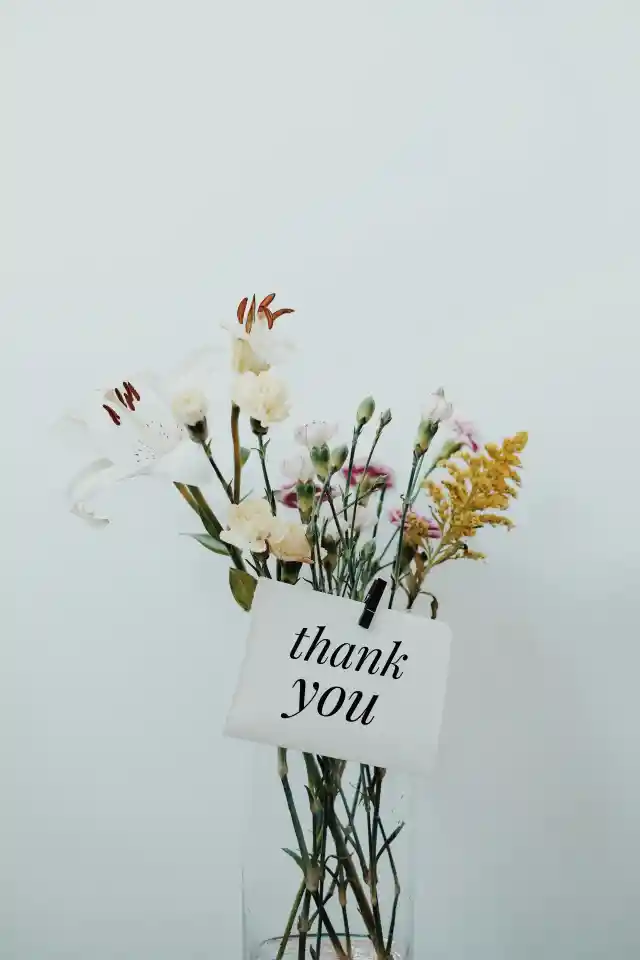 Show Gratitude