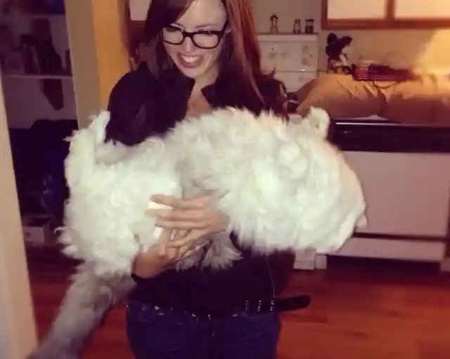 Giant Ball of Poof!