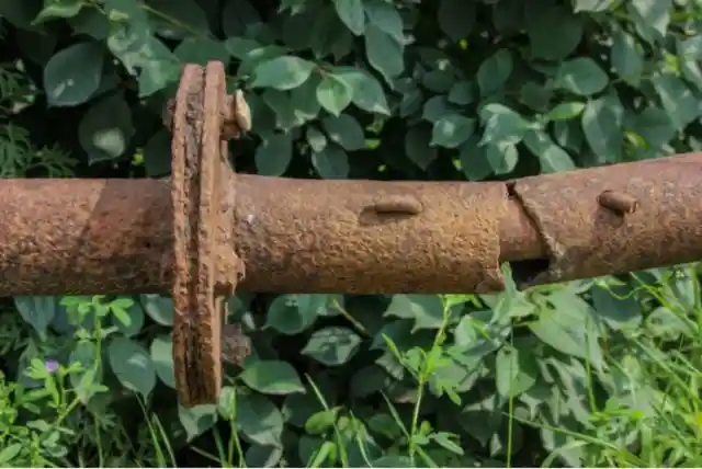 Man Finds Giant Rocket In Forest, Mouth Falls Open When He Sees What's Inside