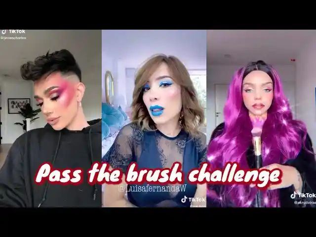  The Pass the Brush Challenge (2020)