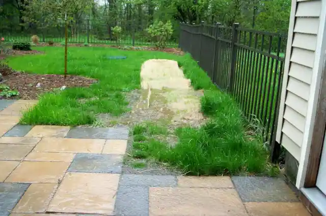 Family Doesn’t See Green Chunks In Neighbour’s Yard, Until It Rains