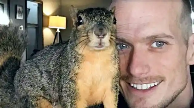 The Squirrel Whisperer