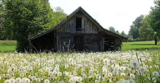 Woman Inherits Dad's Old Barn, Then Uncovers A Note Telling Her To Open Cellar Door
