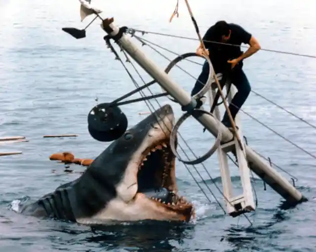 Producers were forbidden from using a real shark in the film.
