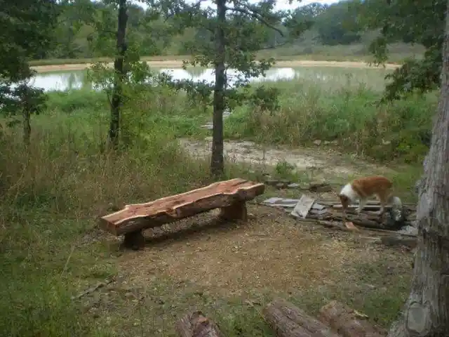 It got even better when Richard and his family discovered a natural spring nearby. Now that is lucky. They could create their own waterfront property!