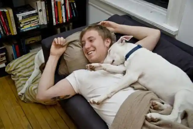 Does your dog like to cuddle after meals? That’s a proof that you’re his best friend.