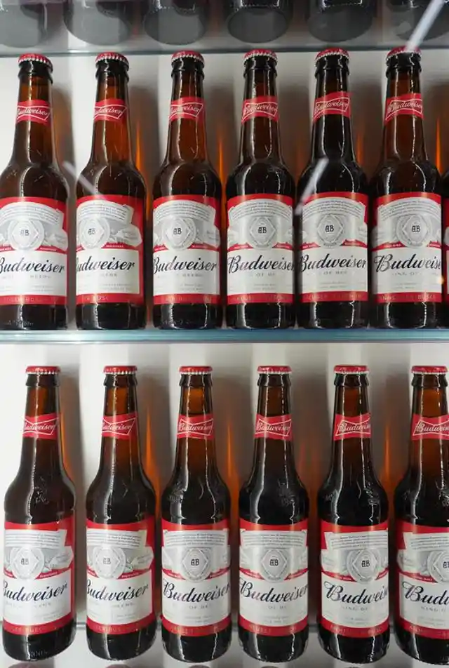 Budweiser Beer 