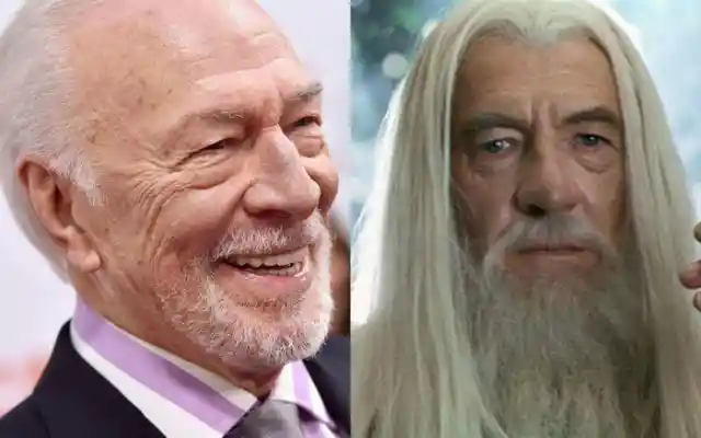 Ian McKellen passed up the chance to play Dumbledore in the "Harry Potter" franchise.