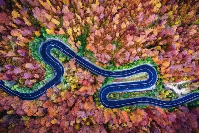 These Unexpected Photos Were Taken By Drones At Just The Right Moment