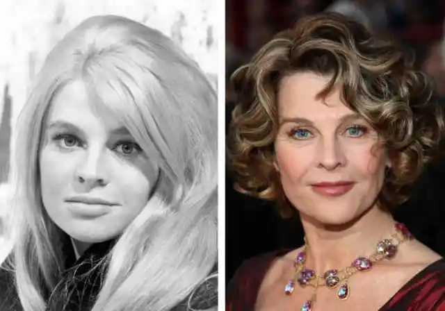 Beautiful Famous Women From The 60s: Then and Now