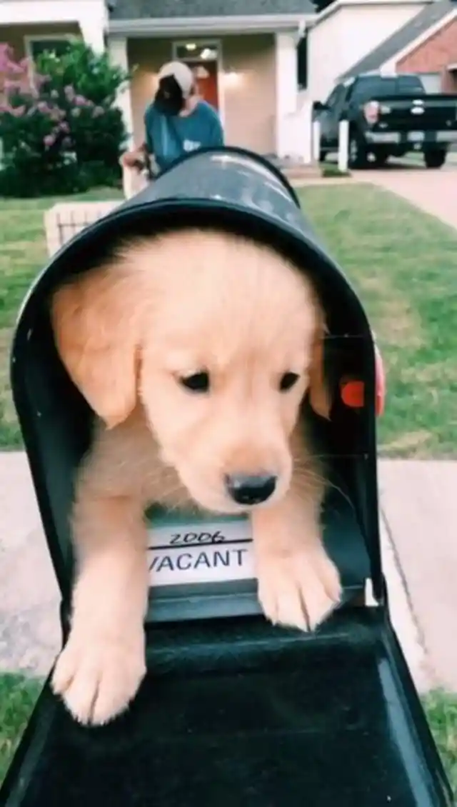 You've Got Mail