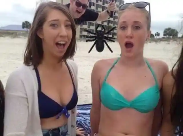 The Most Hilarious Spring Break Photos Of All Time
