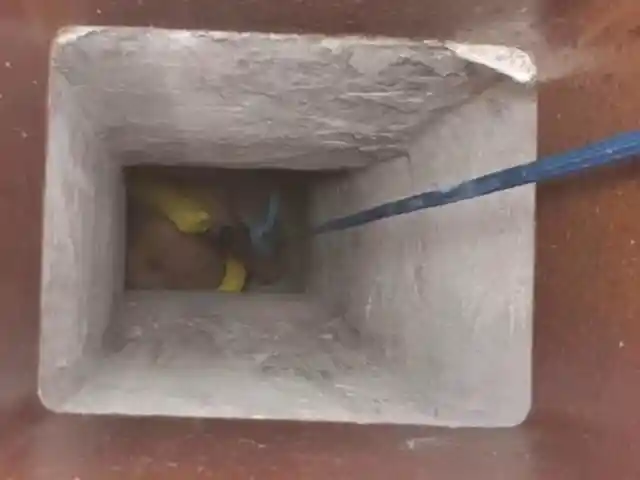 Couple Hears Strange Sounds Coming From Chimney, Discovers Their Worst Fear Inside