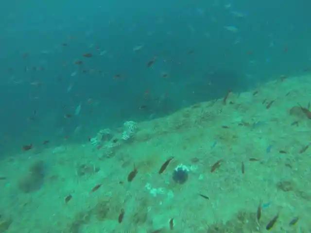 Underwater Find