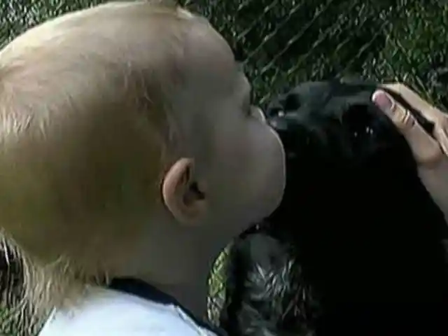 Little Boy Can't Tell Parents About Cruel Nanny, But Hero Dog Saves Him