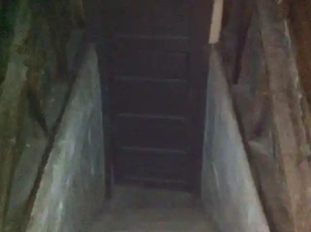 Couple Hears Strange Sounds Coming From Chimney, Discovers Their Worst Fear Inside