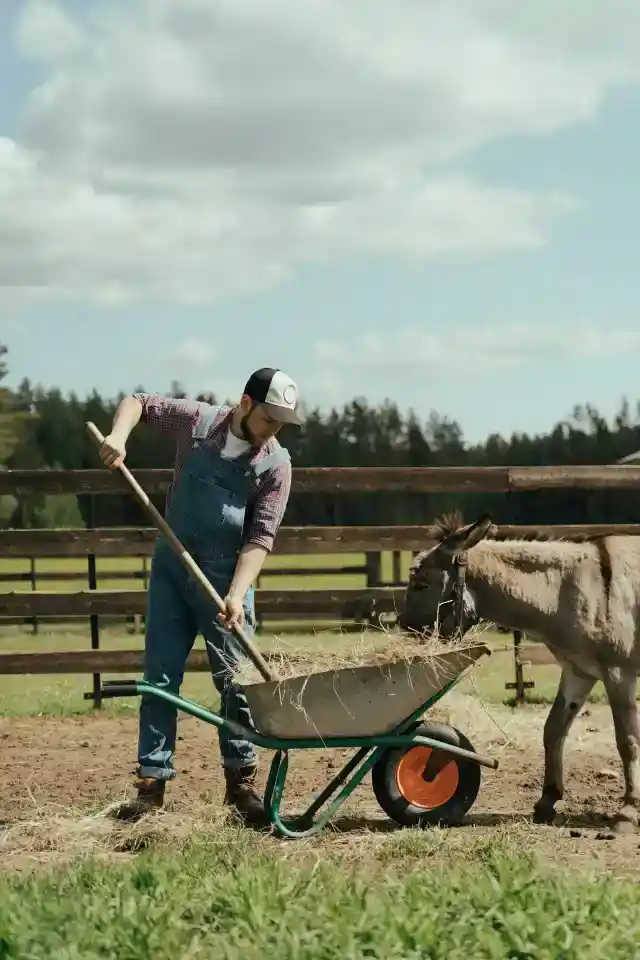 6. Farm-Focused Physiotherapy