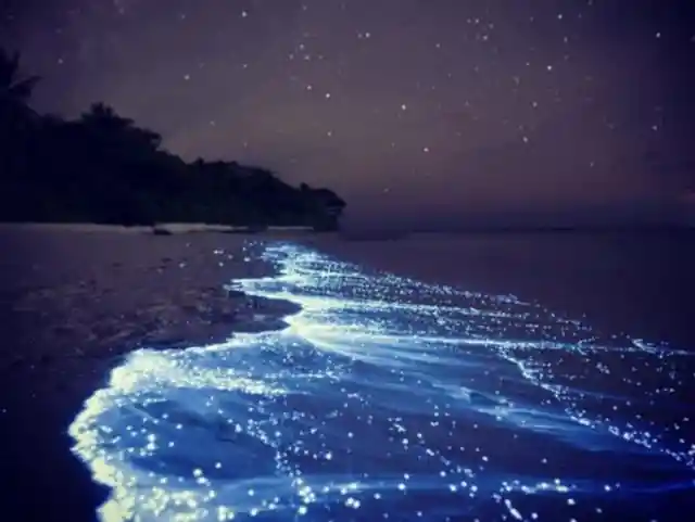 Sea Of Stars