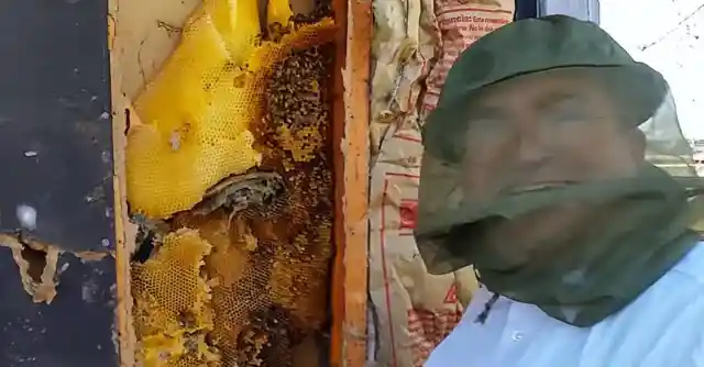 Beehive Honey Reserve