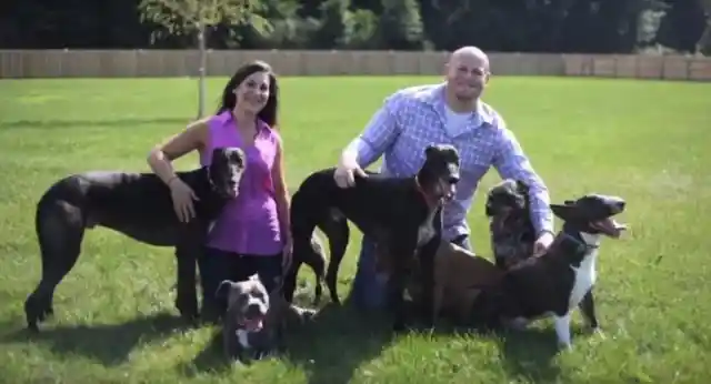 One Big, Happy, Furry Family