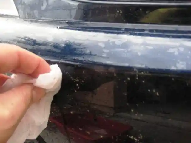 Remove Bugs with Dryer Sheets