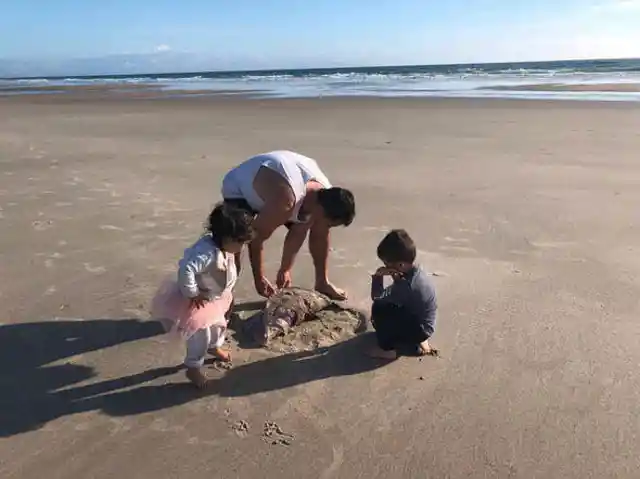 Family Finds Alien-Like Being Pulsating On the Beach, Turns Out It’s a Very Rare Creature
