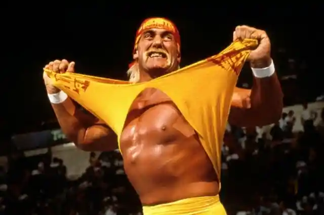 Hulk Hogan – Now
