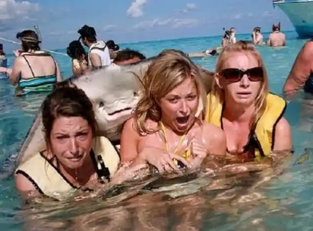 The Most Hilarious Spring Break Photos Of All Time