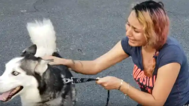 Woman’s Dog Goes Missing, Digs In Garden And Realizes What Her Husband Has Done