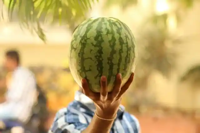 Would you rather have a grapefruit-sized head or a head the size of a watermelon?