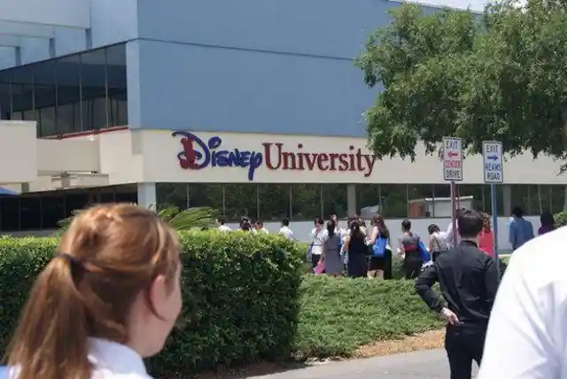 13. The Disney University