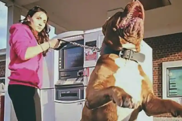 Man Blocks Woman At ATM, Doesn’t Know Dog Is A Cop