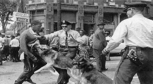 18. Police, dogs and man during the civil rights movement, 1964.