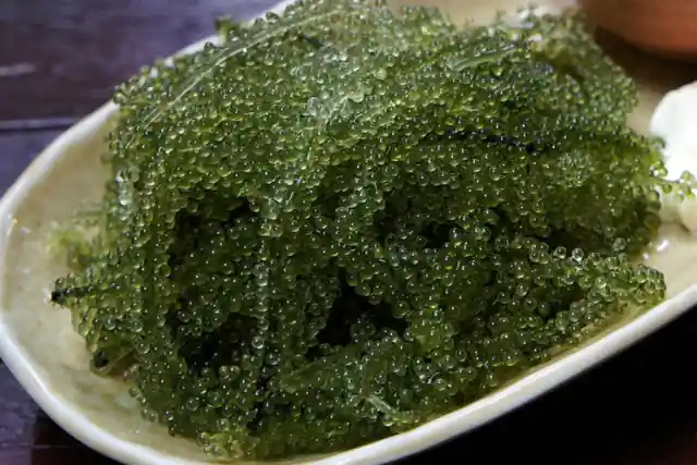 Sea Vegetables You Should Be Adding To Your Meal 