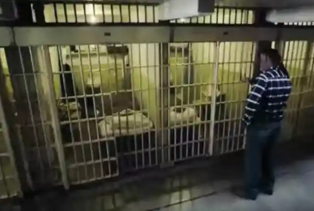 This Is The Real Story Behind The Great Escape From Alcatraz