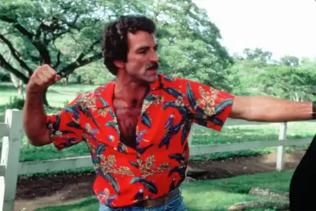 Then And Now: The Cast Of Magnum P.I.
